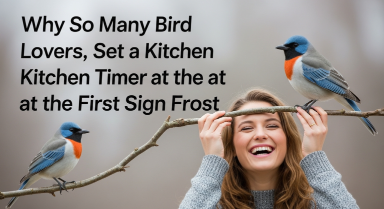 Why So Many Bird Lovers Set a Kitchen Timer at the First Sign of Frost